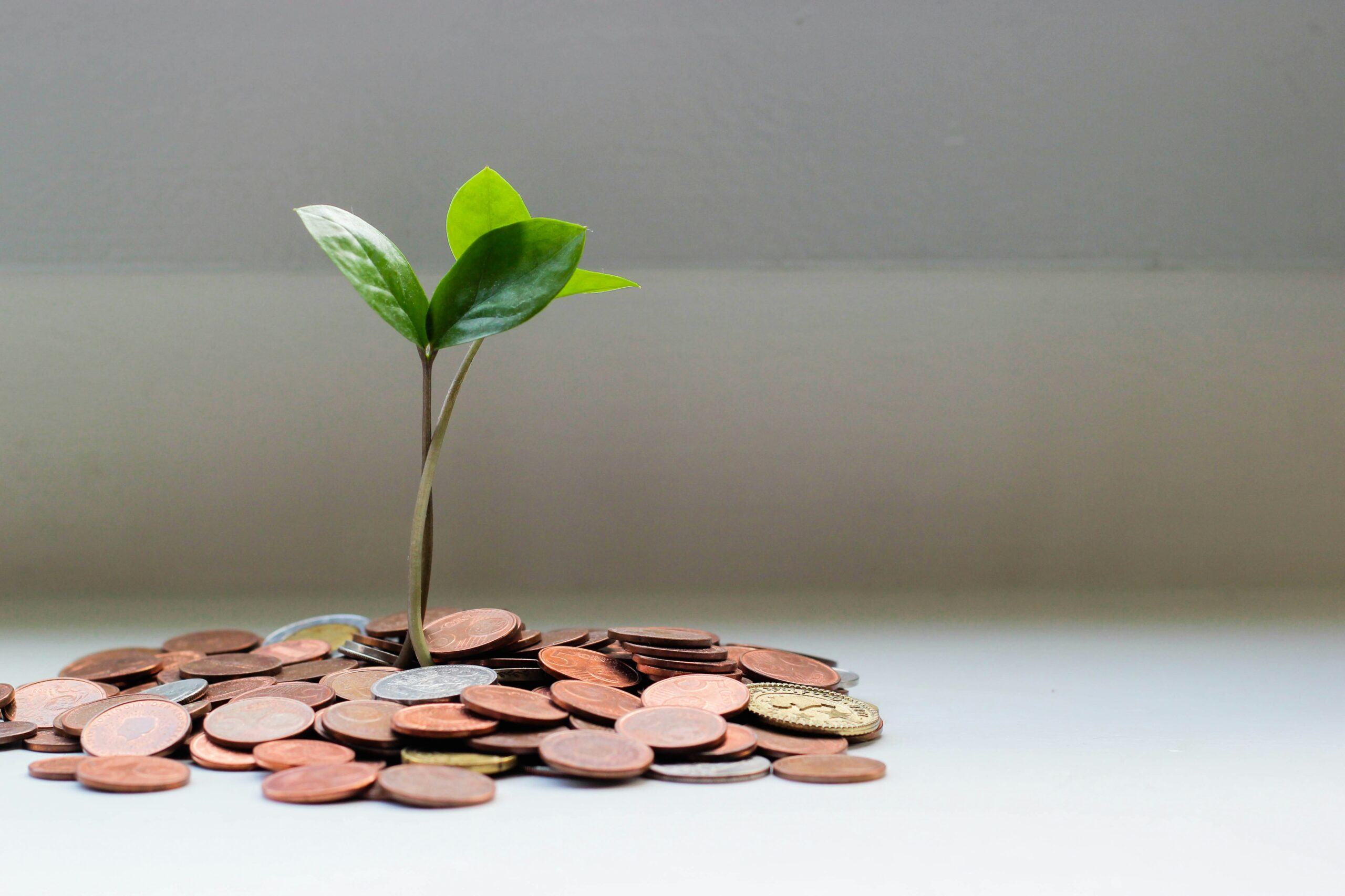 Ahorros